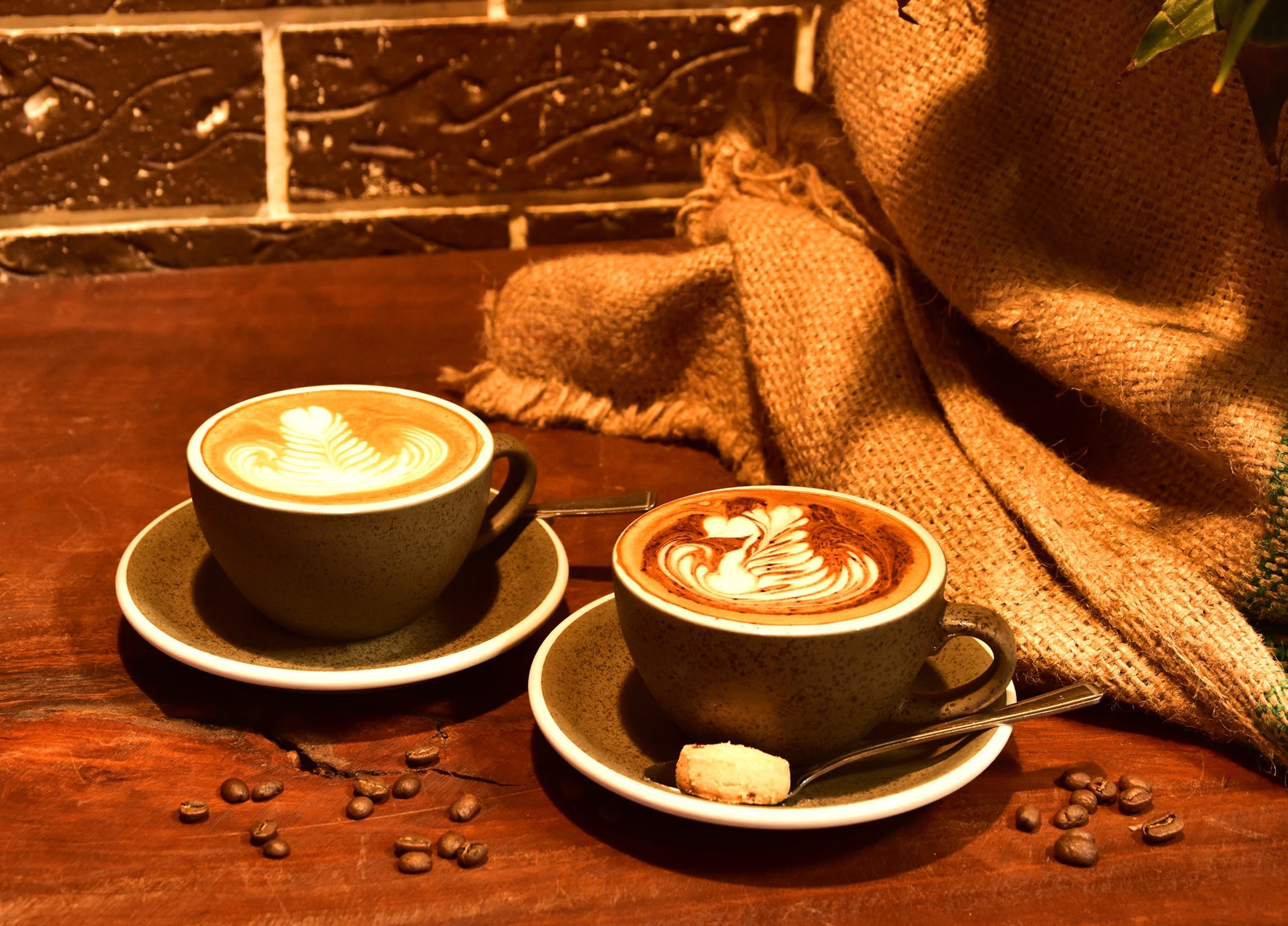 Alfresco Coffee Roasters - Accommodation Mooloolaba
